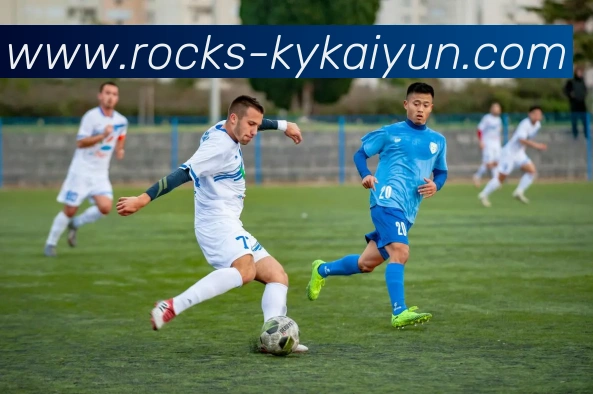 开云中国站服务体系